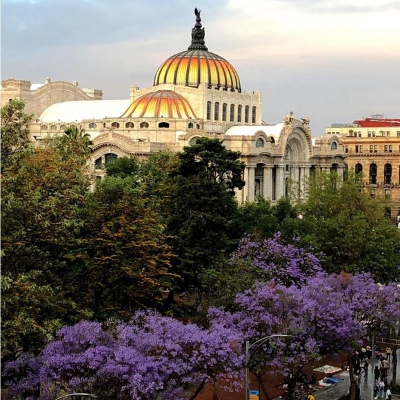 SHOW FLYER- LIKE THIS LISTING TO GET NOTIFIED WHEN I GO LIVE - Picture 5 of 6